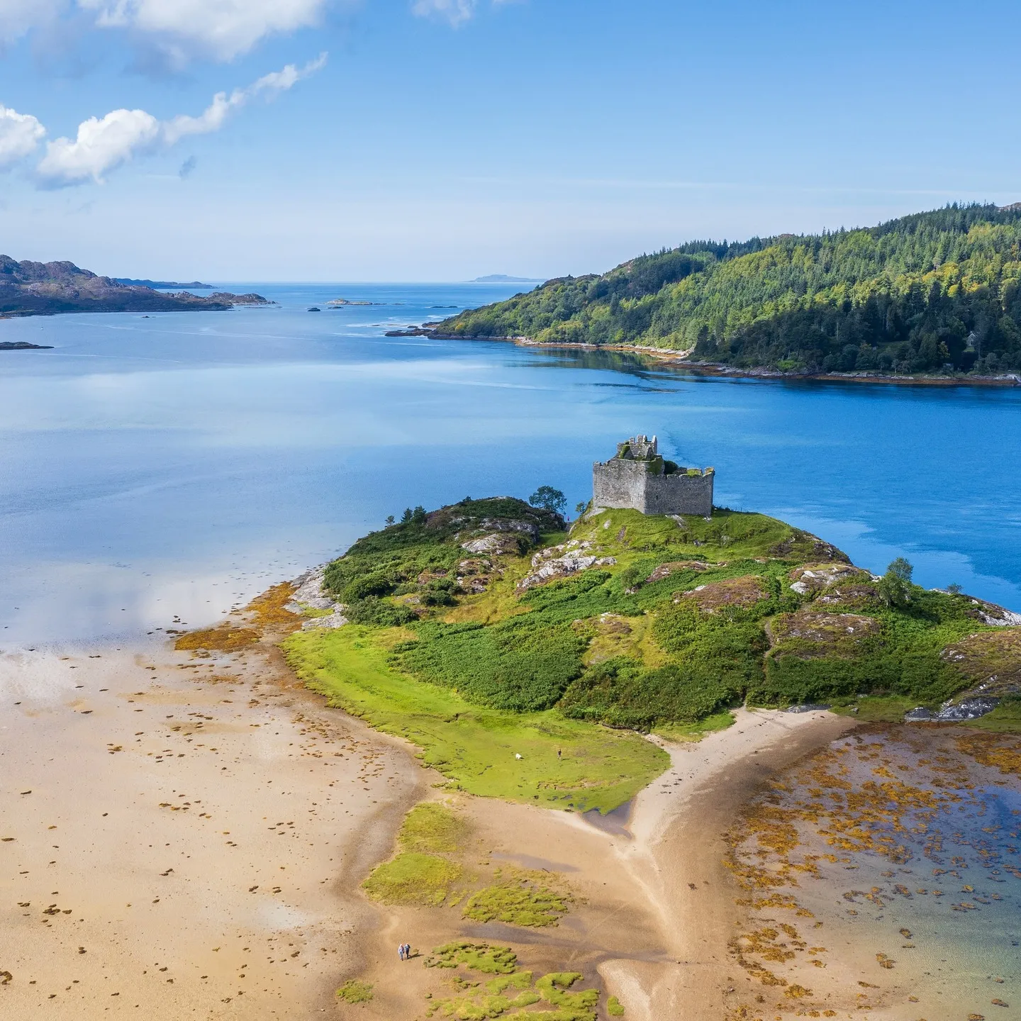 相続や遺産整理といった重要な手続きを進める際、どのように進め...